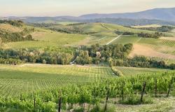 May 2024Tuscany/Liguria ~ 10 Days and 9 Nights ~ Exploring Local Culture Through Food, Wine, and People 15